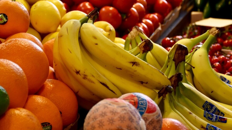 U 11 mjeseci iz BiH izvezeno 134.951 kg citrusa?