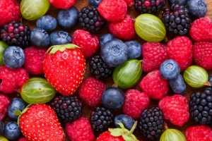 Fruit Logistica - sajam svetskog voća i povrća