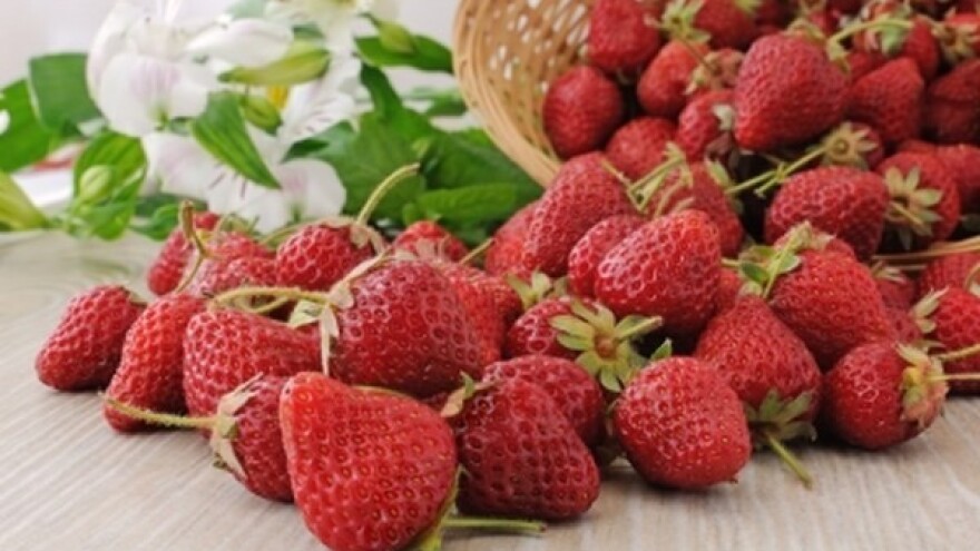 Proizvođači u potrazi za stranim kupcima