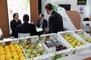 U kom smeru ide svetska proizvodnja voća i povrća?