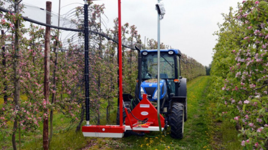 Darwin SmaArt kamera snimi, pa proređuje cvetove