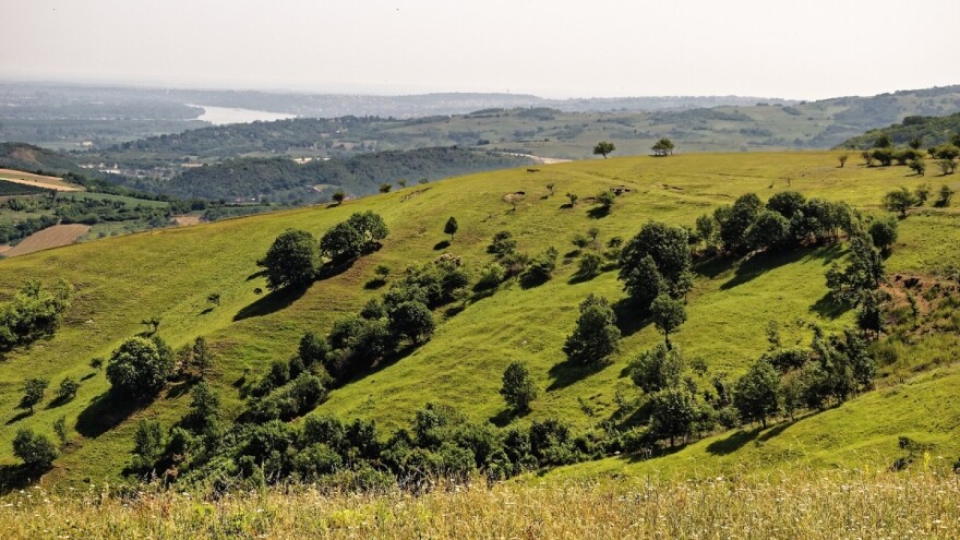 Volonteri žele da ožive stepski pašnjak na Fruškoj gori
