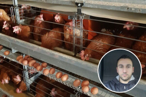 Fudbalski sudija Ljubo Aničić razvio biznis: Proda sve što koke snesu