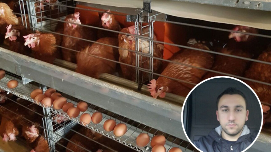 Fudbalski sudija Ljubo Aničić razvio biznis: Proda sve što koke snesu