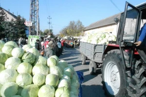 Futoška kupusijada po 18. put