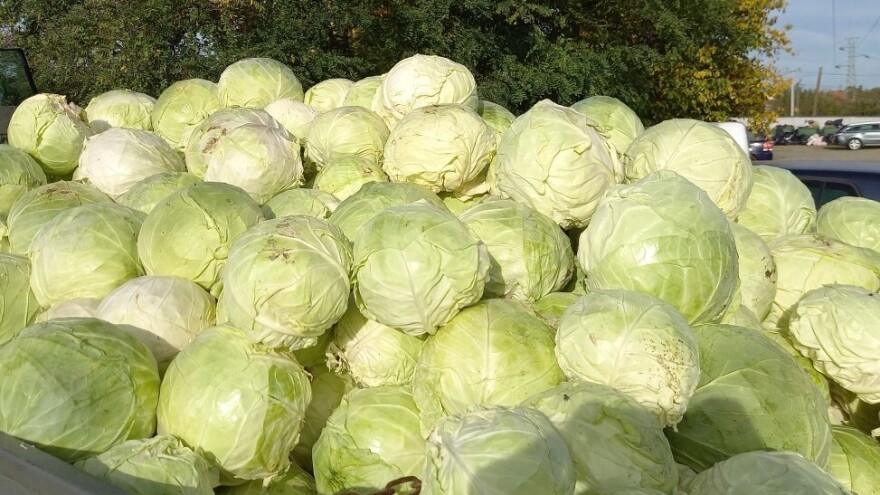 Odložena Kupusijada, otkazani Dani piva zbog nesreće u Novom Sadu