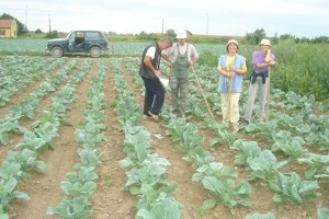 Futoški kupus, geografsko poreklo i slow food