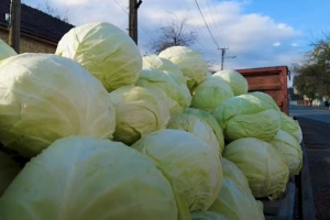 Za unapređenje kvaliteta hrane pokrajina izdvojila milion dinara