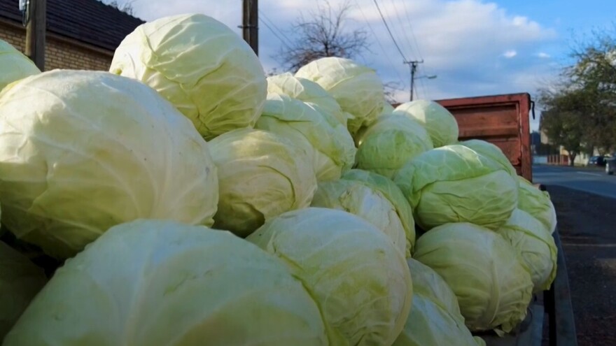 Za unapređenje kvaliteta hrane pokrajina izdvojila milion dinara