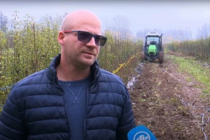 Gabrijel Babić: Kada zagrebete korijen sadnice on mora biti bijele boje