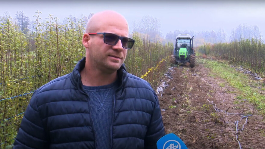 Gabrijel Babić: Kada zagrebete korijen sadnice on mora biti bijele boje