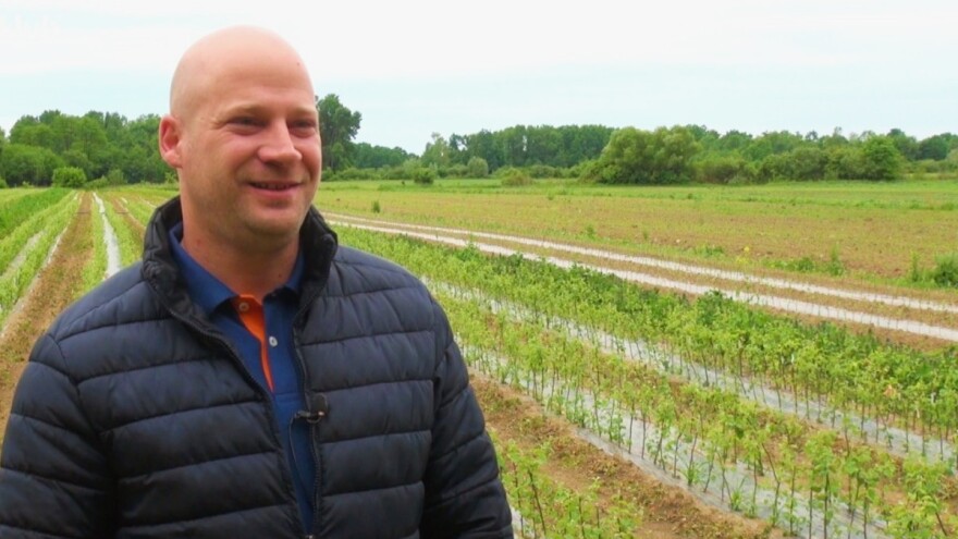 Agro Babić: Korove u voćnjacima oduvijek uklanjamo mehanički, EU sad daje poticaj za to