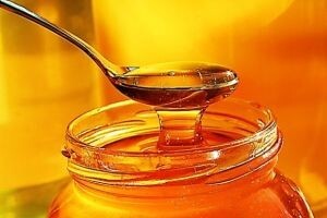 Ocjenjivanje meda s područja Gacke