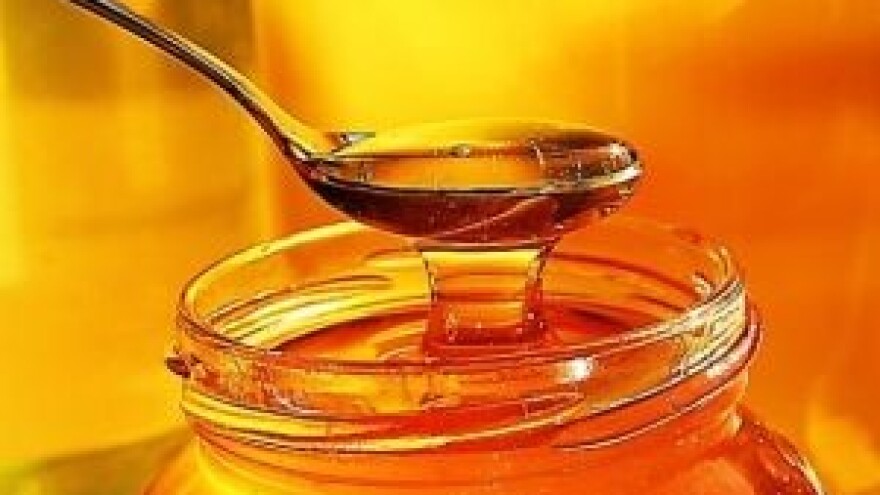 Ocjenjivanje meda s područja Gacke