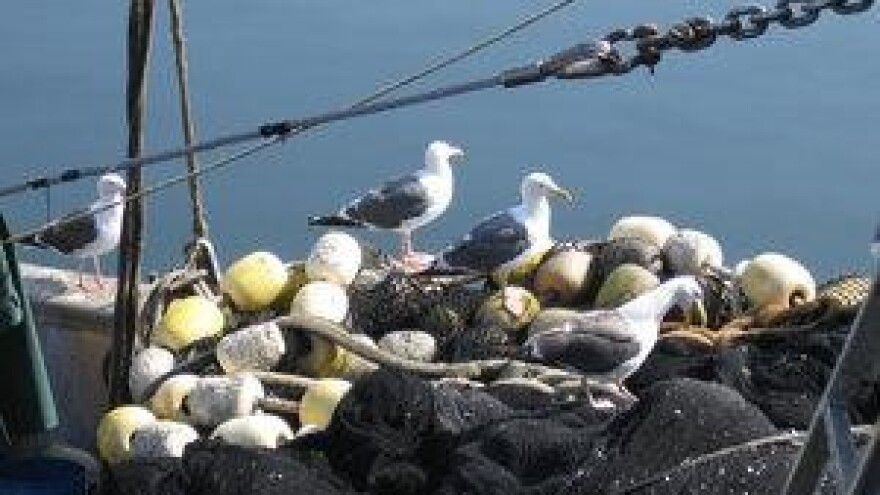 Ribari zakinuti zbog nemara državnih institucija