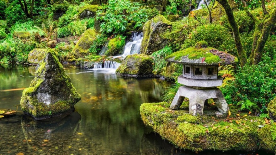 Izgradnja vrtnog jezerca