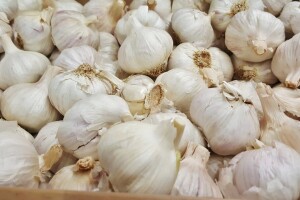 Oktobar je idealan za sadnju bijelog luka