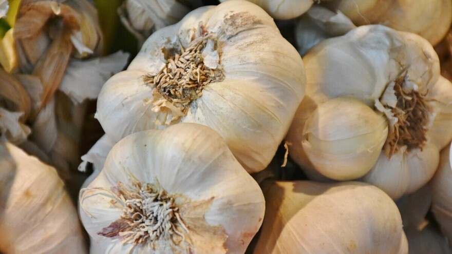 Pripremio za prodaju, javio kupcima, a onda mu ukrali 400 kg eko bijelog luka