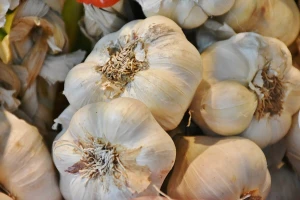 Pripremio za prodaju, javio kupcima, a onda mu ukrali 400 kilograma ekološkog češnjaka
