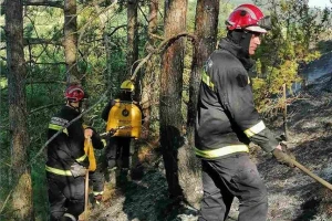 Bukte šumski požari kod Raške, Bujanovca i Bora