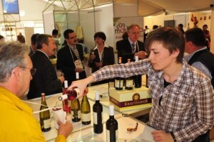 Gast Expo - festival mladih vina i autohtonih delicija