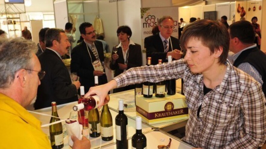 Gast Expo - festival mladih vina i autohtonih delicija