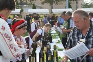 Čarolija Gator Festa u Zmajevcu!