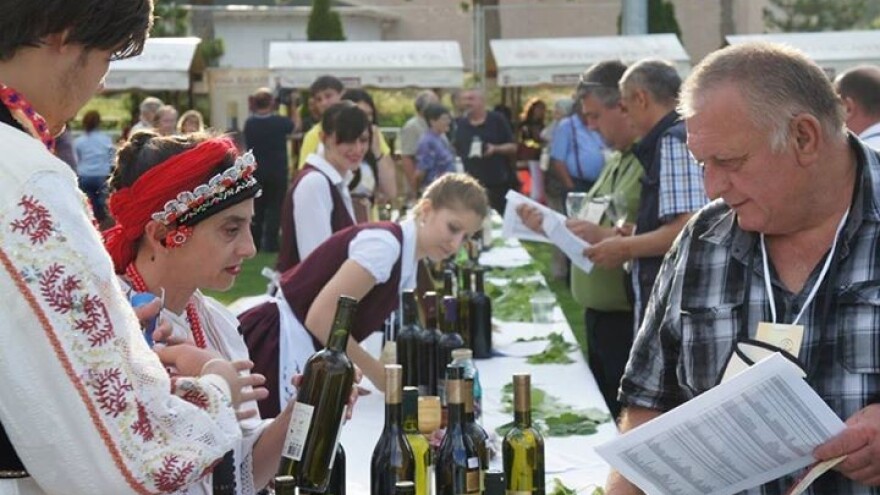 Čarolija Gator Festa u Zmajevcu!