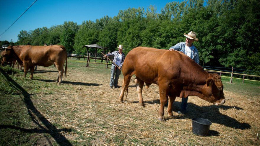 Hrvatska zemlja partner jubilarnog 25. sajma Gazdanapok