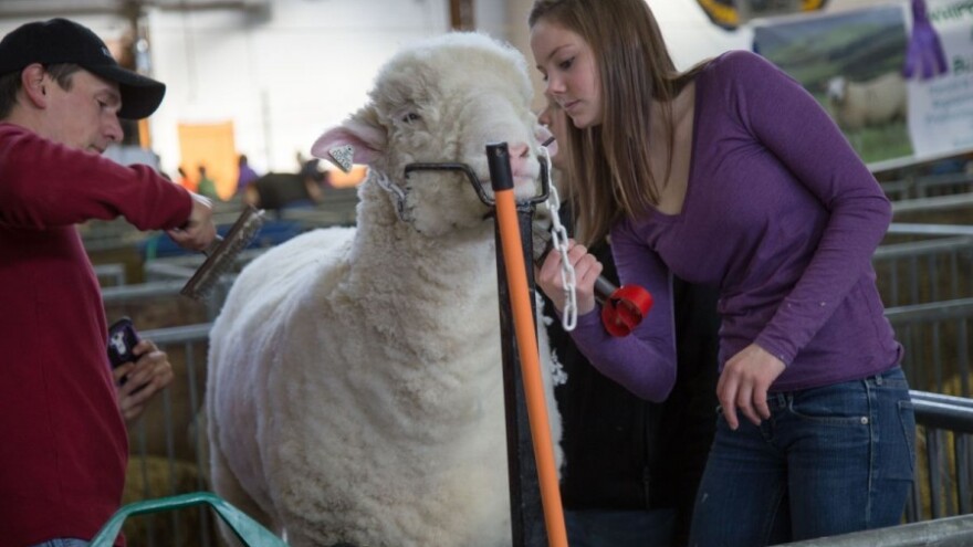 Virovitički poljoprivrednici na Gazdanapoku!