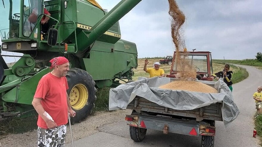 Rekorder prinosa strnih žitarica u BiH - ostvari čak i 8 t/ha