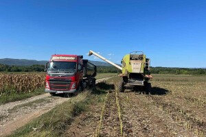 Cena suncokreta u padu, pšenica i soja zabeležile rast