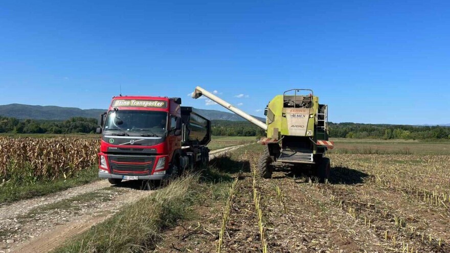 Cena suncokreta u padu, pšenica i soja zabeležile rast