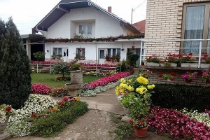 Raznovrsnost u poljoprivredi - model za opstanak