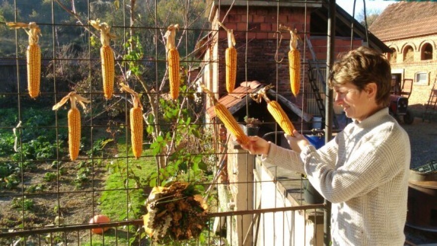 Poljoprivrednici nemaju ni svetka ni petka