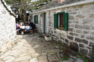 Koliko je turizam uvezan s poljodjelstvom i što je to turistički proizvod? 
