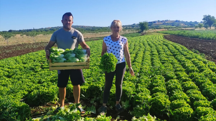 Ante Peraić: Država nas koči i tjera da dignemo ruke od proizvodnje