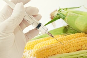 Moderna biotehnologija u borbi protiv zagađenja!