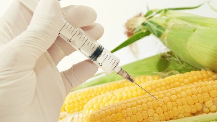 Moderna biotehnologija u borbi protiv zagađenja!