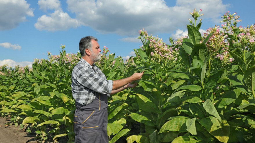 Očuvanje biljnih genetskih izvora RH