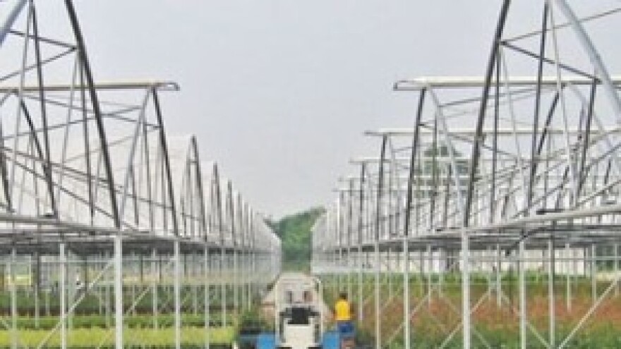 Kompletna rješenja za plastenike