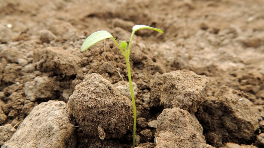 Produžen rok za podnošenje Zahtjeva za isplatu u podmjeri 10.2.