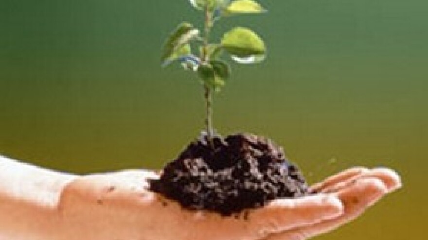 Geront d.o.o. - proizvodnja sadnica