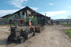 Đuro Lenđel: Pokušali smo spasiti krave, a one su ležale i još uvijek mukale