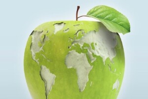 Globalni forum za hranu i poljoprivredu