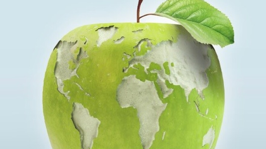 Globalni forum za hranu i poljoprivredu