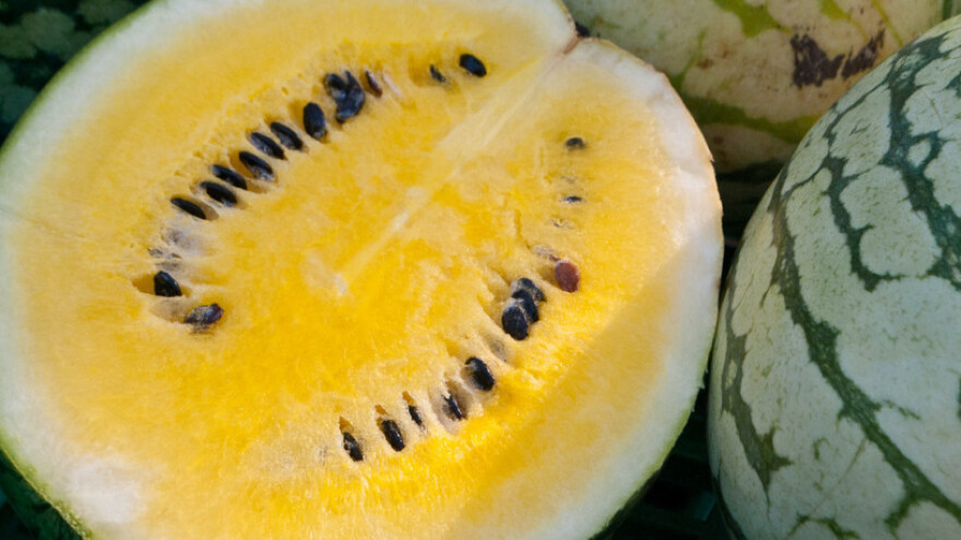 OPG Karas carstvo ovaca, batata i žutih lubenica