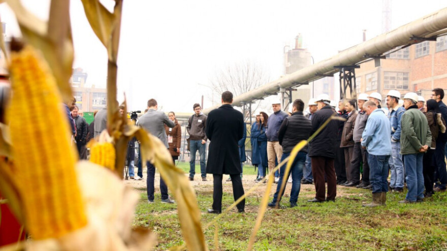Domaće đubrivo za rodna polja kukuruza