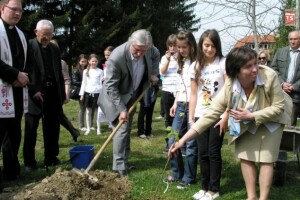 Stvoreni klonovi Gupčeve lipe ponosa Zagorja