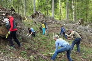 Hrvatske šume prepoznale važnost građanske inicijative Dani kolektivne sadnje drveća